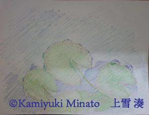 消せるい六角軸色えんぴつで描いてみた 4