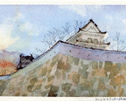 夕方の福山城