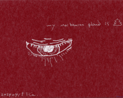 まぶたが腫れて痛く、目のことしか考えられない気持ち (My Maibounian gland is 💩)